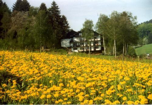 Birkenhof Hotel Wald-Michelbach Ngoại thất bức ảnh