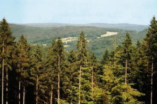 Birkenhof Hotel Wald-Michelbach Ngoại thất bức ảnh