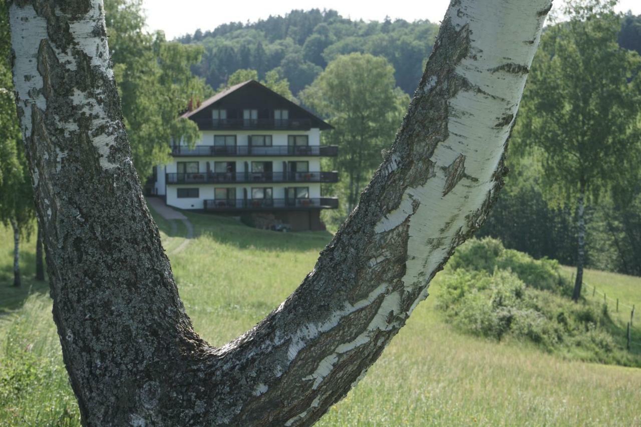 Birkenhof Hotel Wald-Michelbach Ngoại thất bức ảnh