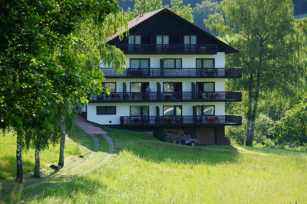 Birkenhof Hotel Wald-Michelbach Ngoại thất bức ảnh